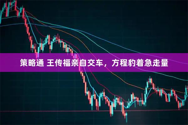 策略通 王传福亲自交车，方程豹着急走量