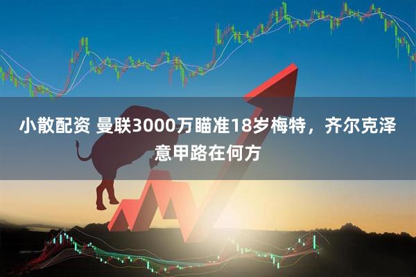 小散配资 曼联3000万瞄准18岁梅特，齐尔克泽意甲路在何方
