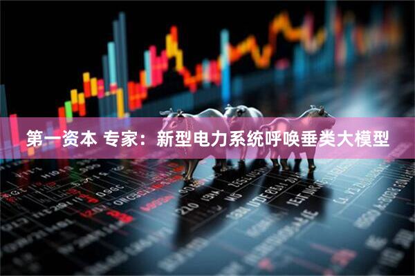 第一资本 专家：新型电力系统呼唤垂类大模型