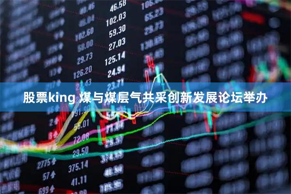 股票king 煤与煤层气共采创新发展论坛举办